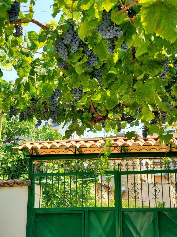 Unique Traditional House, Hosted By J&G Tirana Exterior photo
