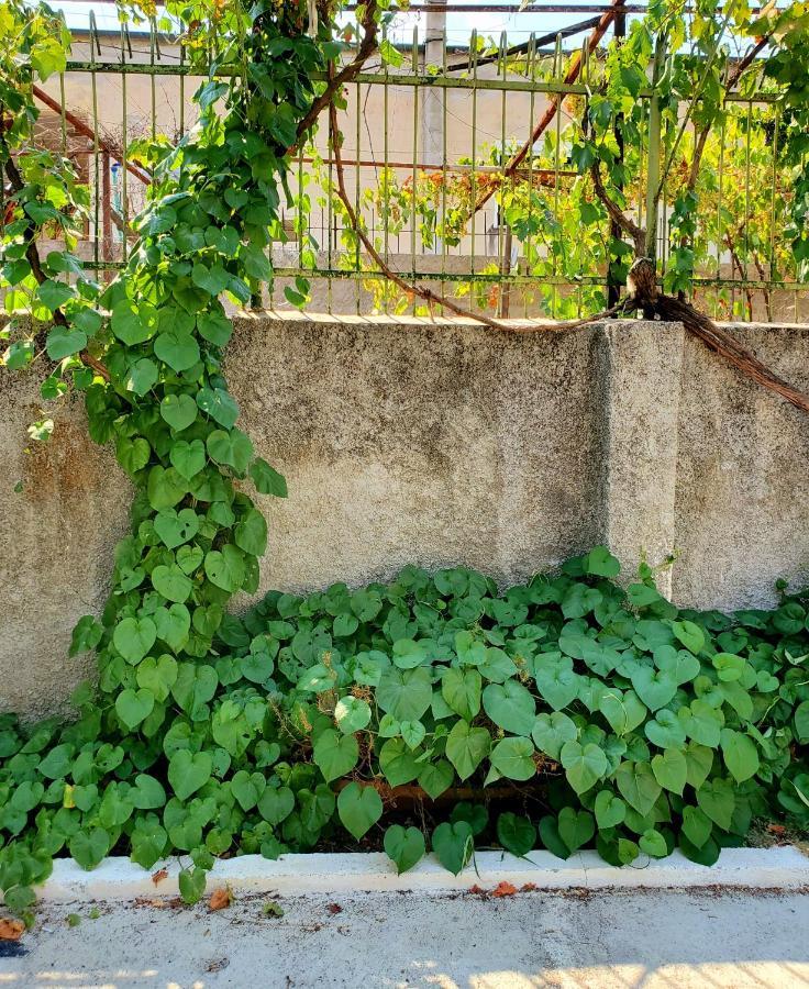 Unique Traditional House, Hosted By J&G Tirana Exterior photo