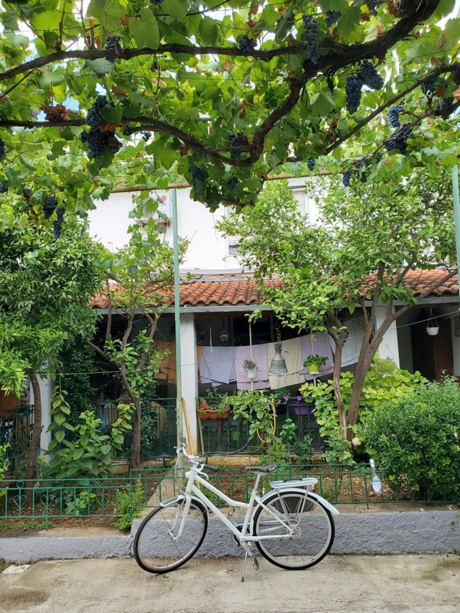 Unique Traditional House, Hosted By J&G Tirana Exterior photo